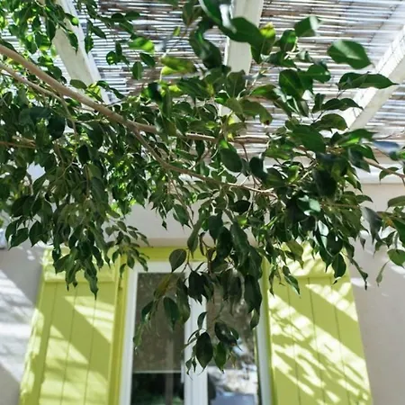 Appartement Cozy 2-bedroom House In Tinos
