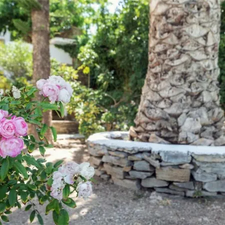 Cozy 2-bedroom House In Tinos * Agios Sostis (Tinos)